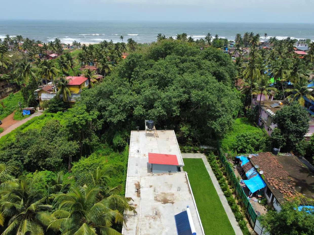 Aerial view showing greenery and the beach nearby