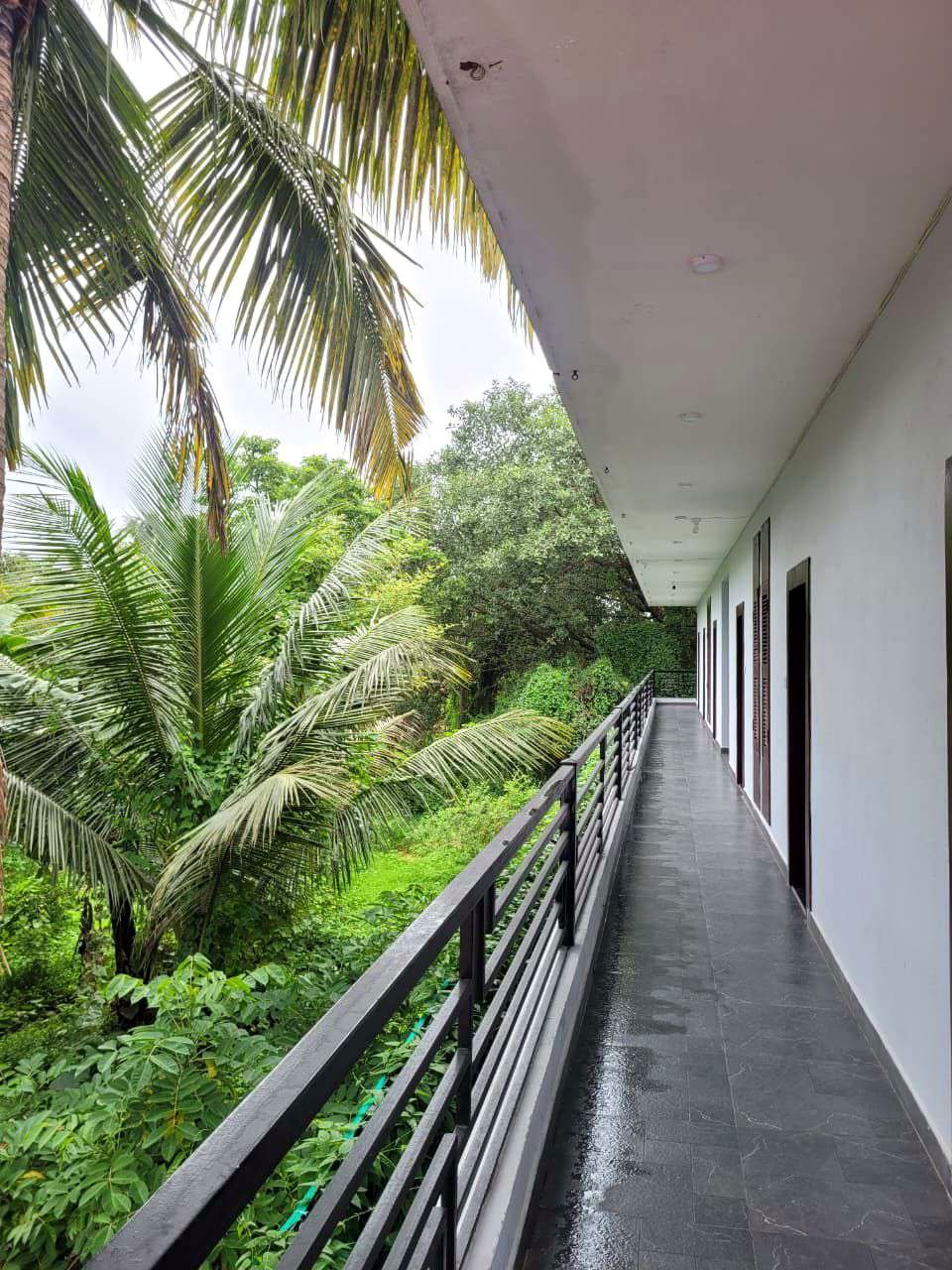 Balcony corridor with green palm view