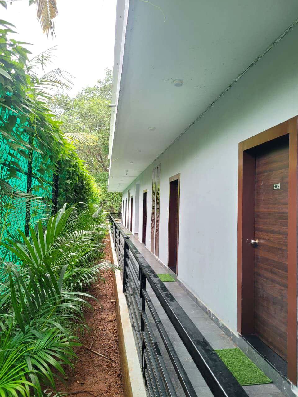 Green plant corridor at the property
